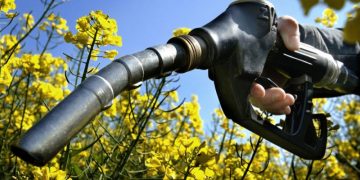 Las empresas viales de Córdoba acuden a la alternativa de reemplazar gasoil por biodiesel