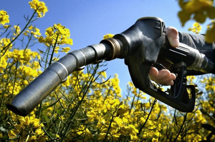Las empresas viales de Córdoba acuden a la alternativa de reemplazar gasoil por biodiesel
