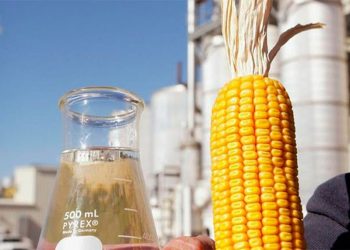 Autorizan un aumento de alrededor del 12% para el bioetanol