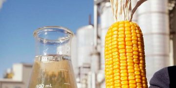 Autorizan un aumento de alrededor del 12% para el bioetanol