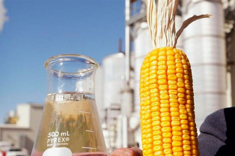 Aumenta 4,77% el precio del bioetanol destinado a la mezcla con nafta