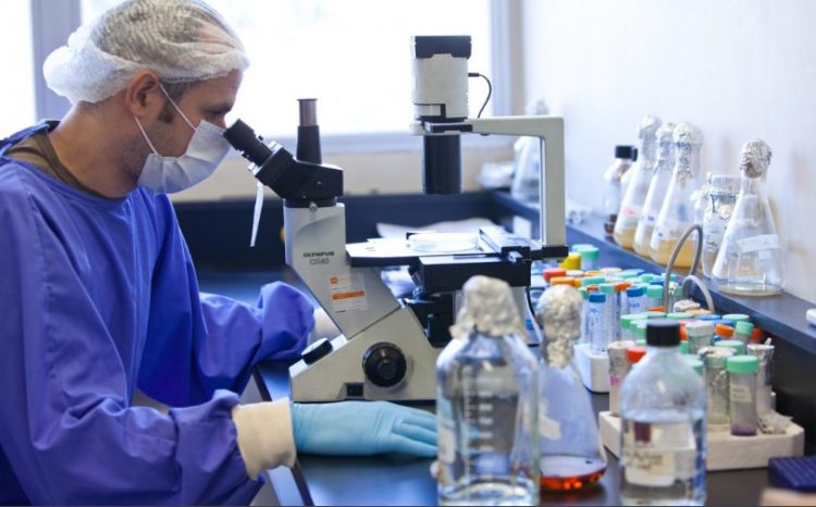 Continúa abierta la convocatoria para proyectos de investigación en Biotecnología