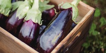 La señora del batón morado