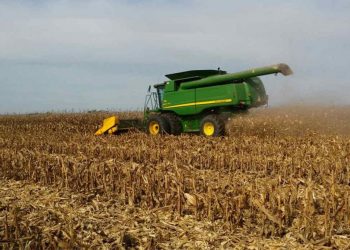 La Bolsa de Cereales de Córdoba alertó sobre futuros problemas en la cosecha gruesa