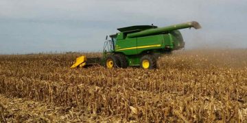 La Bolsa de Cereales de Córdoba alertó sobre futuros problemas en la cosecha gruesa