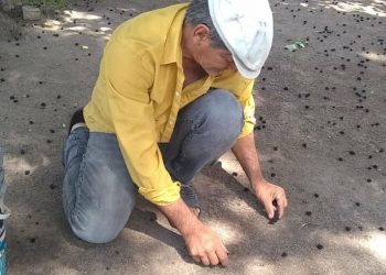 A los 58 años, un humilde albañil descubrió que es hijo de un millonario empresario y bodeguero