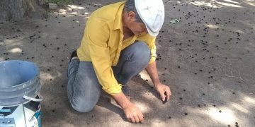 A los 58 años, un humilde albañil descubrió que es hijo de un millonario empresario y bodeguero