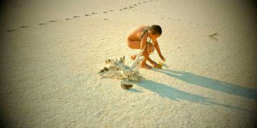 La mirada sobre los otros