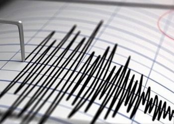 Un fuerte sismo con epicentro en San Juan sacudió también a Córdoba
