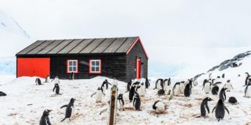 Ofrecen US$ 2.000 para trabajar en la Antártida