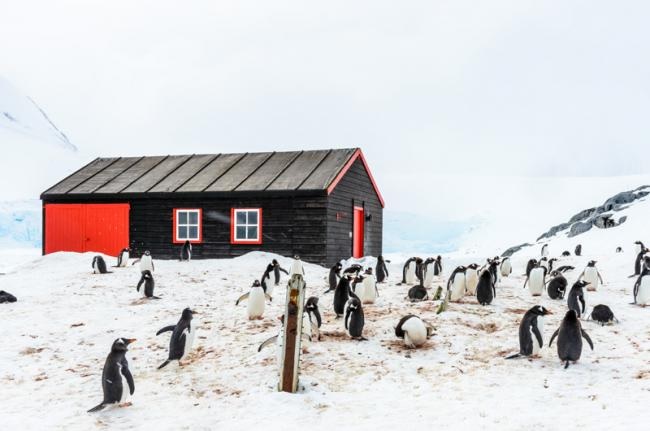 Ofrecen US$ 2.000 para trabajar en la Antártida
