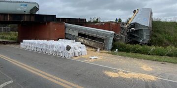 Un puente ferroviario colapsó en Rosario y vagones de un tren cayeron al vacío
