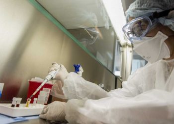 La viruela del mono «puede controlarse y el riesgo de transmisión es bajo»