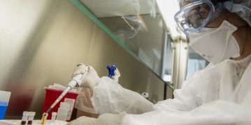 La viruela del mono «puede controlarse y el riesgo de transmisión es bajo»