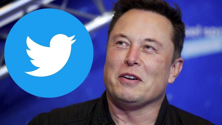 Elon Musk dejó en suspenso la compra de Twitter mientras se desploman las acciones