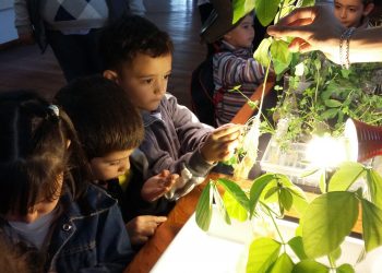 La cultura manifestada a través del arte