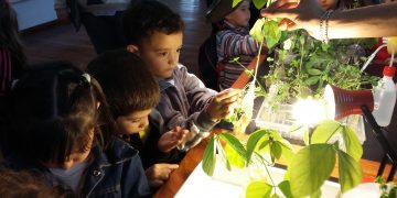 La cultura manifestada a través del arte