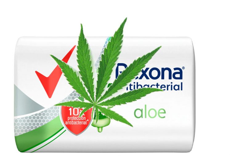 Rexonas antibacteriales