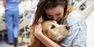 Asistencia a humanos enfermos con perros de terapia ¿cómo funciona?