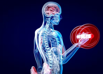 Hacer ejercicio, una buena alternativa para evitar que el cerebro encoja