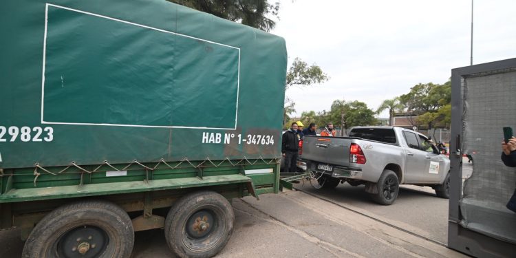 Trasladan al búfalo Rubén a un santuario de Entre Ríos