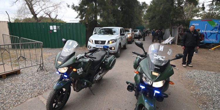 Trasladan al búfalo Rubén a un santuario de Entre Ríos