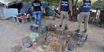 Más de 100 aves en cautiverio fueron rescatadas por la Policía Ambiental