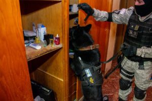 Condenan a integrantes de una banda narco que operaba en el interior