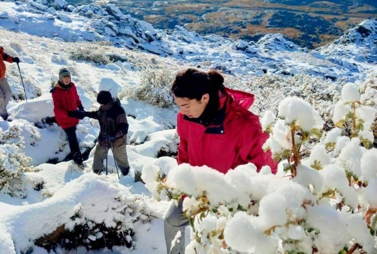 El Champaquí amaneció nevado