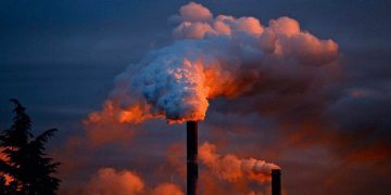 Una de cada seis muertes prematuras en el mundo están asociadas a la contaminación ambiental
