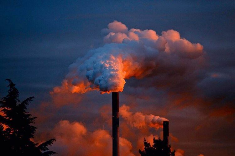 Una de cada seis muertes prematuras en el mundo están asociadas a la contaminación ambiental