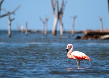 Una comisión de Diputados busca avanzar sobre la creación de parques nacionales