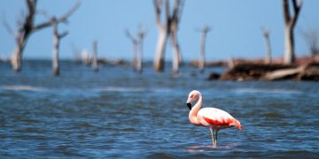 Una comisión de Diputados busca avanzar sobre la creación de parques nacionales