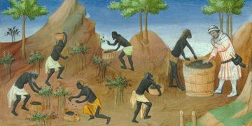 Historia de la pimienta y del error holandés