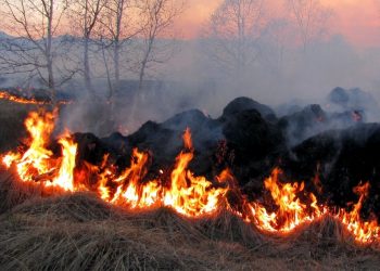 Confirman el juicio al acusado de incendiar un parque natural