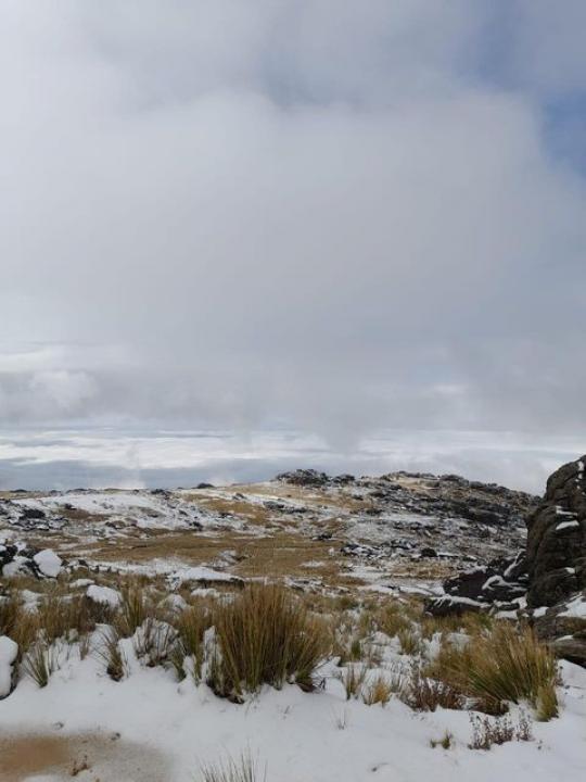 La primera nevada del año llegó y se hizo protagonista en las sierras de Córdoba