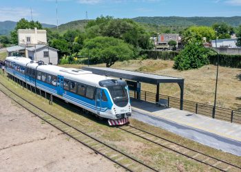 Intentaron robarse los durmientes de las vías del tren y fueron descubiertos