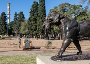 Avanzan la primera etapa de las obras de recuperación del Parque Sarmiento