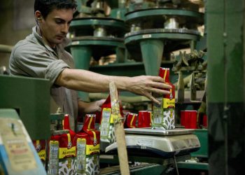 Agricultura definió el nuevo precio del kilo de yerba mate