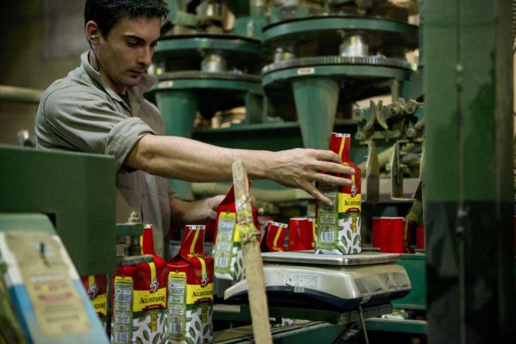 Agricultura definió el nuevo precio del kilo de yerba mate