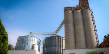 Molineros ratificaron el rechazo al fideicomiso del trigo