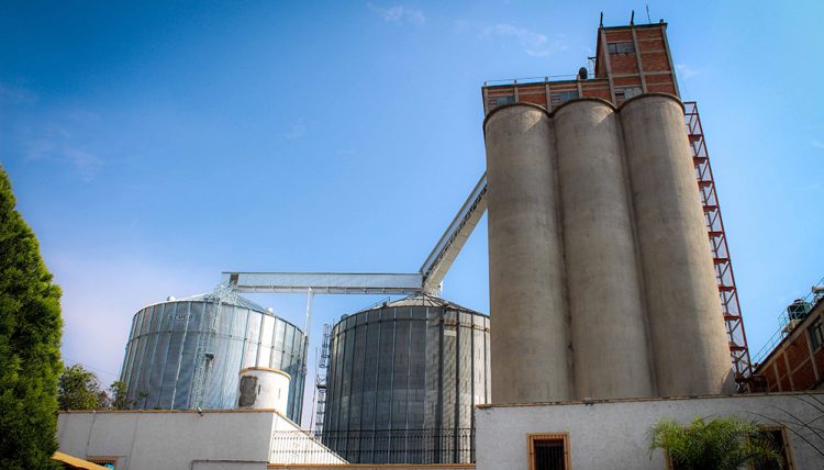 Molineros ratificaron el rechazo al fideicomiso del trigo