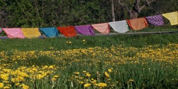 Una variada selección de películas