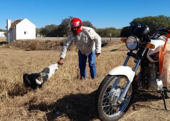 Encontraron un cóndor andino herido y trataron de llevarlo en una moto para curarlo