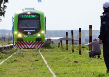 El Tren Patagónico sigue sumando recorridos y servicios