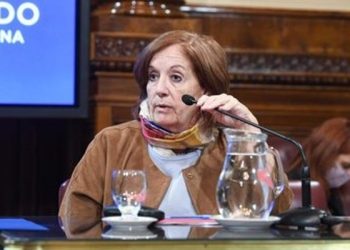 Boleto Federal: senadores presentan el proyecto de ley