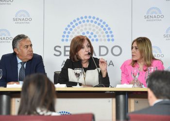 Vigo presentó en el Senado el proyecto de ley por un boleto federal