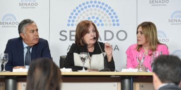 Vigo presentó en el Senado el proyecto de ley por un boleto federal