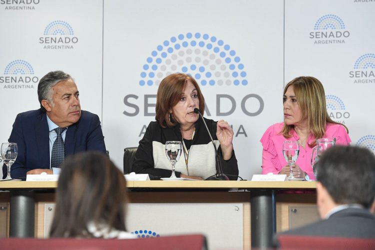 Vigo presentó en el Senado el proyecto de ley por un boleto federal