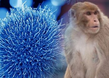 Cómo evoluciona el paciente con sospecha de tener la viruela del mono